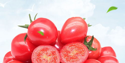 千禧小西红柿2 3 5斤圣女果番茄小柿子农家时令新鲜水果蔬菜批发