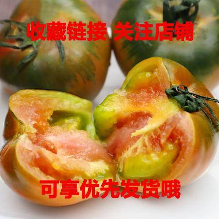 丹东铁皮柿子草莓西红柿碱地铁柿子新鲜番茄蔬菜批发